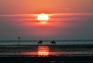 Haus Seaside 53° SEA2 - Cuxhaven - 6