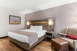 Best Western Moriarty Heritage Inn - Moriarty - 8