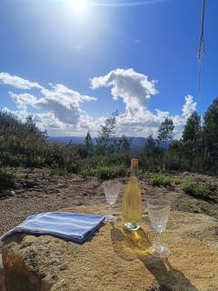 Moinho da Alfazema - Penacova - 3