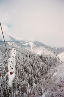 Moose Lodge Retreat in Park City! Walk to the Slopes! condo - Park City - 6