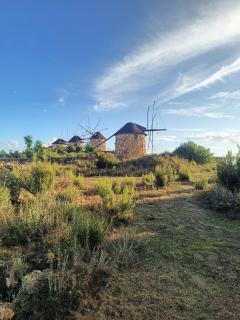 Moinhos do Alecrim - Penacova - 9