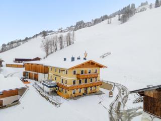 Bichlblick - Viehhofen - 3