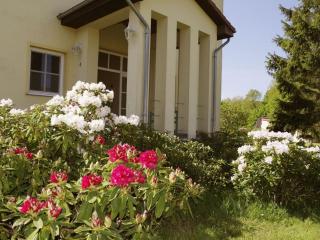 Castle view at Weisdin Castle - - 0
