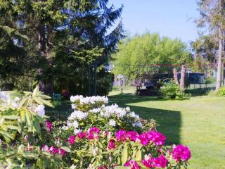 Castle view at Weisdin Castle - - 9