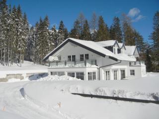 Haus Terra Comfortable holiday residence - Ramsau am Dachstein - 9