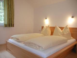 Haus Terra Comfortable holiday residence - Ramsau am Dachstein - 1