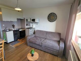 Studio cosy 2 pers au pied des pistes - FR-1-393-176 - 8