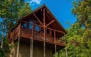 Sherwood Sanctuary - 9