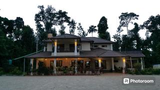 Coffeeshire farm - Mudigere - 1