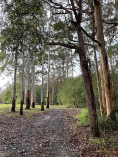 Wine Tree Estate Chalets - 8