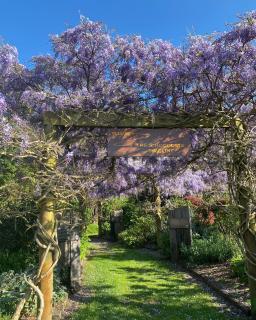 Wine Tree Estate Chalets - Parryville - 4