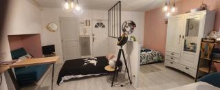 Appartement Hyper centre historique Toulouse capitole cosy - Toulouse - 0