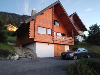 Chalet les Alpages vue panoramique sur le lac Léman - 9