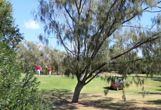 Capricorn Pacific - Bargara - 6
