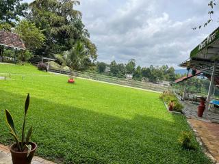 River View Resort by Periyar Ayurveda - Kodanad - 6