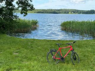 Behagliche 5 Sterne FeWo, See, Sauna, Hund - 6