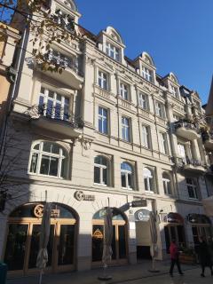 City center apartment-Wrocławska - Poznań - 1