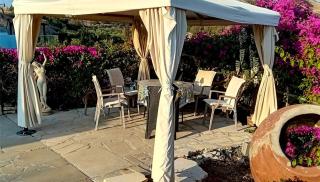 Sunset Boutique Guest House - Paphos - 4