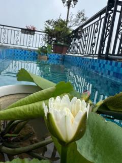 Thung Lũng Mây - Venuestay - Tam Ðảo - 5