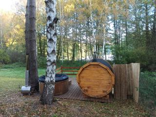 Wilczy Apartament - - 8