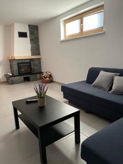 Dziki Raj - domki z widokiem na Tatry oraz Babią Górę - 7