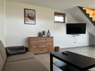 Dziki Raj - domki z widokiem na Tatry oraz Babią Górę - 8