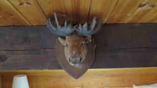 Chalet Esher Surrey - Ried-Brig - 5
