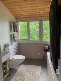 Gemütliche Wohnung in der Natur - Walkringen - 4