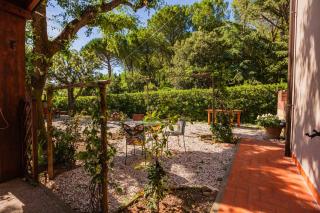 Casal Toscano - Casale Marittimo - 6