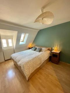 Appartement cosy au centre-ville avec garage - 5