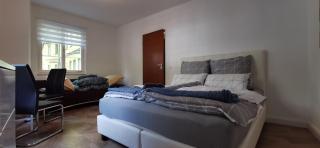 Apartment mit Parkblick Lindau Bodensee Insel - Lindau - 1