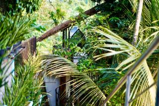 Lakeland Homestay Diphu - 4