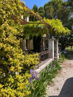 Grand Mas - Tarascon - 2