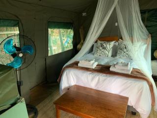 Sunset Guesthouse and Venue Cullinan - 9