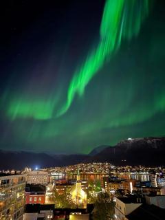 Norwegian Fjord Explorer Line - 1