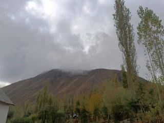 Toluk guest house - 5