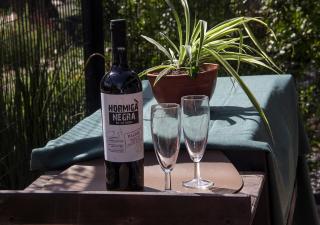 Depto del Bosque, 4 personas, patio, cochera cubierta ,parrilla - Maipú - 8