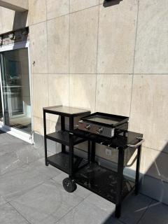 Penthouse, Terrasse vue Montagne - Grenoble - 4