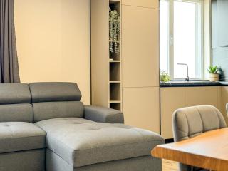 2BR Business Suite with FREE GYM, by Holiwork Stays - Plovdiv - 4