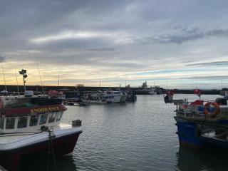 Quayside Marina - Arbroath - 6