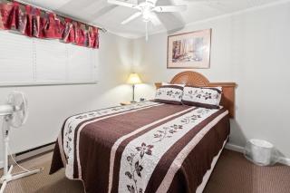 ML229 Mountain Escape Great for Relaxing Near Village - Snowshoe - 4