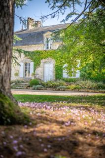 La Chartreuse des Ormeaux maison de maître en Dordogne - 7