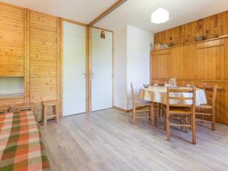 Studio Fonctionnel au Pied des Pistes avec Terrasse - Plein Sud, Près des Remontées et Services - FR-1-181-2542 - 7