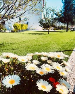 Villa Maolo - Roquebrune-sur Argens - 1