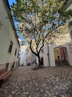 Alfama studio facing riverside front - Lisbon - 5