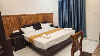 Divine Bliss Beach Resort - Varkala - 9