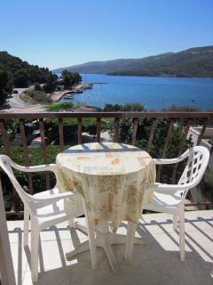 Apartments Andelka - 4