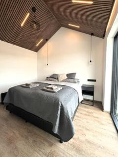 Day Dream Aurora Lodges - Reikiavik - 2