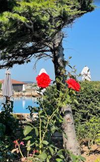Sozopol Созопол- SOZOPOLIS -MORE SUN 2А- - Sosopol - 1