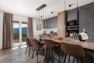 SROK luxury apartment with pool - Kastav - 1